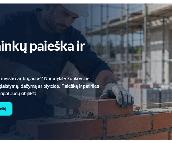 Apdailos komanda ar atskiras meistras: kaip įmonei tikslinti poreikį